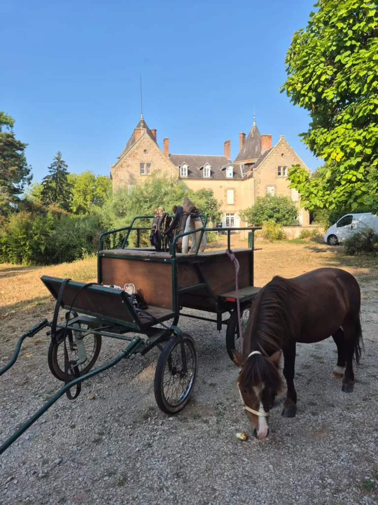 Sortie calèche à cheval